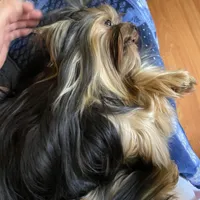 processed/58caaa39-4367-4152-85de-441289e3770e/facility/baf927f9-7027-4813-bd72-7dde622b034f