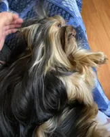 processed/58caaa39-4367-4152-85de-441289e3770e/facility/baf927f9-7027-4813-bd72-7dde622b034f