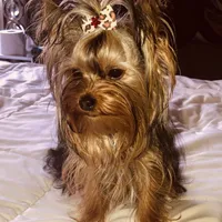 processed/58caaa39-4367-4152-85de-441289e3770e/facility/c00c1b0b-bf58-4ce0-bc8b-88f3d44e7416