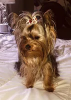 processed/58caaa39-4367-4152-85de-441289e3770e/facility/c00c1b0b-bf58-4ce0-bc8b-88f3d44e7416