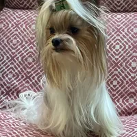 processed/58caaa39-4367-4152-85de-441289e3770e/facility/db3063d7-e617-4815-a76e-d3d8aa29727a