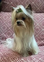 processed/58caaa39-4367-4152-85de-441289e3770e/facility/db3063d7-e617-4815-a76e-d3d8aa29727a