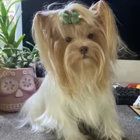 processed/58caaa39-4367-4152-85de-441289e3770e/facility/dbf31839-9336-4aac-b8ce-ed8b4483fe16