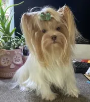 processed/58caaa39-4367-4152-85de-441289e3770e/facility/dbf31839-9336-4aac-b8ce-ed8b4483fe16