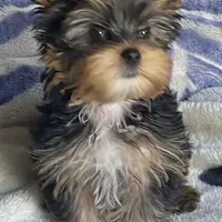 processed/58caaa39-4367-4152-85de-441289e3770e/facility/f9d5af9e-3c4f-4773-af65-e3ea42a0aae3