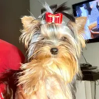 processed/58caaa39-4367-4152-85de-441289e3770e/facility/ff9450cb-2b17-4967-b433-bde4ed47e37a