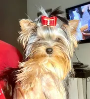 processed/58caaa39-4367-4152-85de-441289e3770e/facility/ff9450cb-2b17-4967-b433-bde4ed47e37a