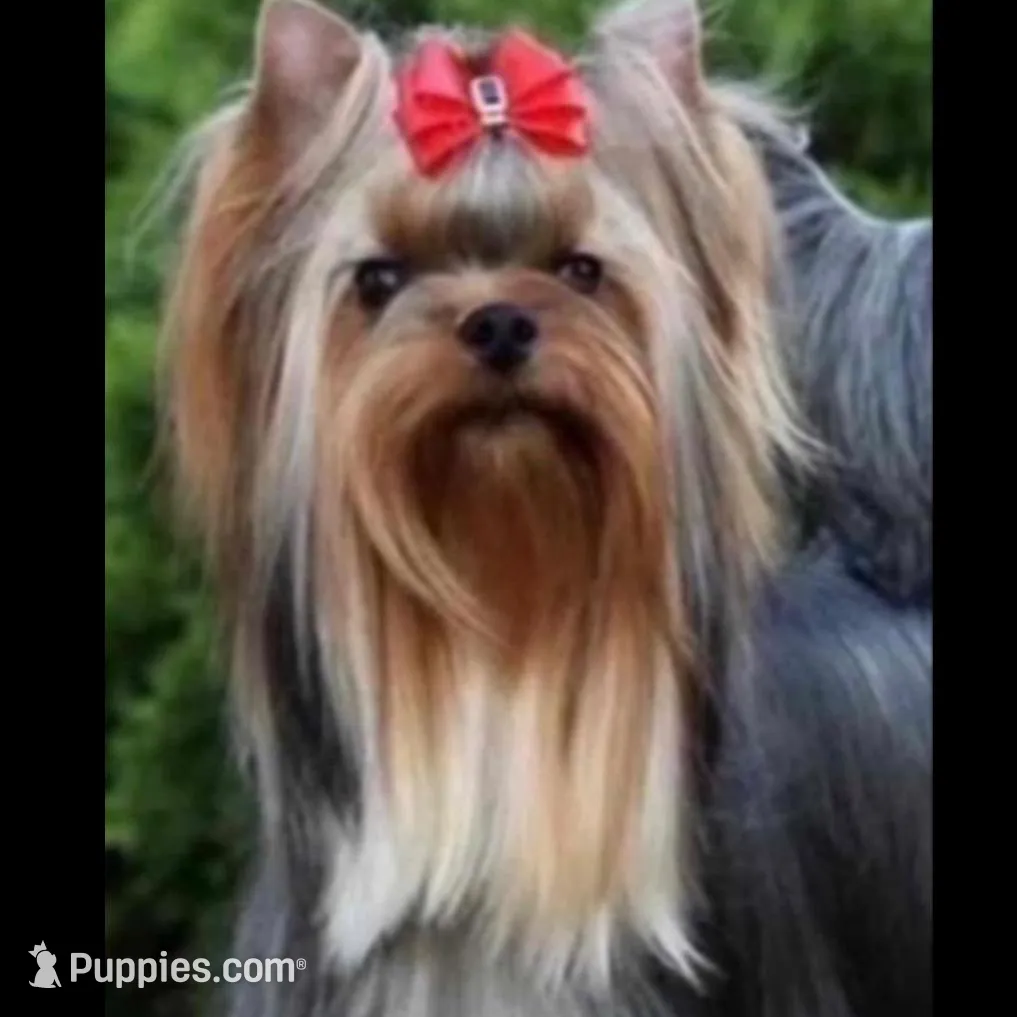 Hannahs girl (undocked)