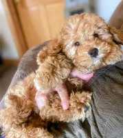 processed/58cbe17d-b265-4955-b629-b23e14ff2ecd/facility/2d03c37b-bc4c-43fd-a181-6299a1c9a95a