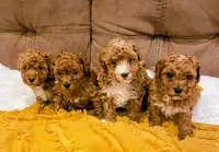 processed/58cbe17d-b265-4955-b629-b23e14ff2ecd/facility/37cabd18-b699-41d4-a45d-547e88093eb8