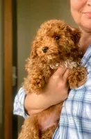 processed/58cbe17d-b265-4955-b629-b23e14ff2ecd/facility/92e3cda6-1486-4f2d-9c48-62f213190fd8