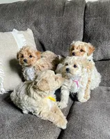 processed/58cbe17d-b265-4955-b629-b23e14ff2ecd/facility/9e7dc4dc-8718-4207-92e3-5803b7d90ff4