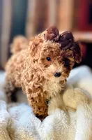 processed/58cbe17d-b265-4955-b629-b23e14ff2ecd/facility/e9fd8527-6709-42b8-8dfa-e2041797dbea