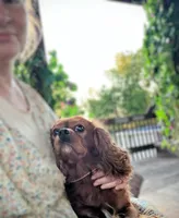 processed/58cbe17d-b265-4955-b629-b23e14ff2ecd/listing/5a65d7bc-4a79-4f30-8794-316112777eed/353d4d39-184e-4515-bde8-a61ecdc901f7