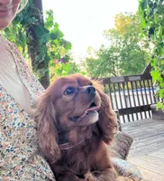 processed/58cbe17d-b265-4955-b629-b23e14ff2ecd/listing/5a65d7bc-4a79-4f30-8794-316112777eed/a8f9b608-2832-4954-b123-80f15ba7fd4c