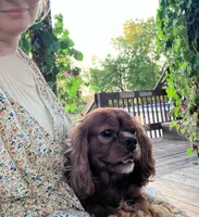 processed/58cbe17d-b265-4955-b629-b23e14ff2ecd/listing/5a65d7bc-4a79-4f30-8794-316112777eed/ee117ff6-f01a-4b39-942e-52afceb89d26