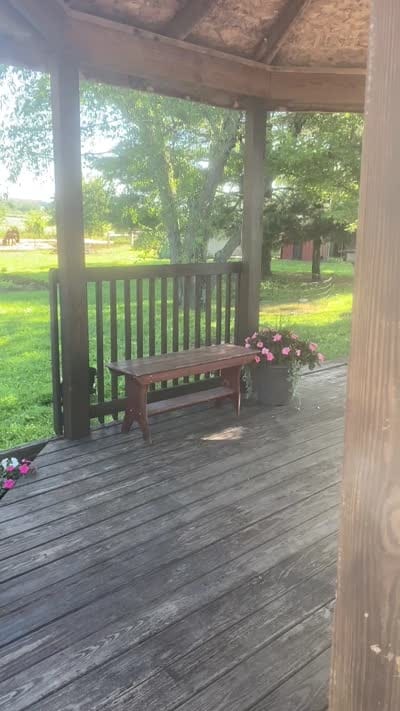 ♥️Little Rocco♥️, a male Bernese Mountain Dog for sale in Gambier, OH – 10 of 10