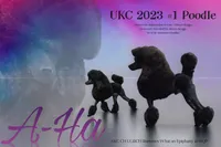 processed/58cc1388-ef32-472a-8cf6-b28a677df6f5/facility/00c69e36-a21c-4407-ae39-263789014a86