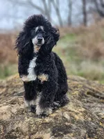 processed/58cc1388-ef32-472a-8cf6-b28a677df6f5/facility/0b930cae-56a3-445d-a0fa-b5b44d8cae00