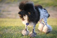 processed/58cc1388-ef32-472a-8cf6-b28a677df6f5/facility/721d70c1-1954-4709-b648-333a86e0904b