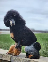 processed/58cc1388-ef32-472a-8cf6-b28a677df6f5/facility/82776e51-a659-4bff-83f3-0d923347a635