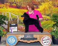 processed/58cc1388-ef32-472a-8cf6-b28a677df6f5/facility/be18904a-0e4d-49db-8fc7-8583285a7063