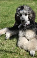 processed/58cc1388-ef32-472a-8cf6-b28a677df6f5/facility/f4c37b02-dee0-45fd-9b3d-7c9204de95d4