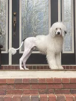 processed/58d2e4b3-e2a1-4ec4-b1e7-ae810338d2cb/facility/22820fcf-cd7a-401c-8280-aa5f7a9607c6