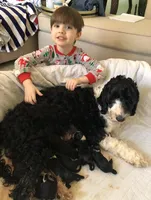 processed/58d2e4b3-e2a1-4ec4-b1e7-ae810338d2cb/facility/27087e86-494e-4151-9059-8391e0160591