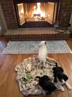 processed/58d2e4b3-e2a1-4ec4-b1e7-ae810338d2cb/facility/53ec7964-0818-4837-82ff-8c2ab13f187a