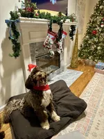 processed/58d2e4b3-e2a1-4ec4-b1e7-ae810338d2cb/facility/9355f764-c764-44d7-83eb-5ea9476fb9d3