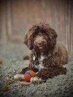 processed/58d2e4b3-e2a1-4ec4-b1e7-ae810338d2cb/facility/ca458171-2201-49f3-91c9-fb2c19af3e7e