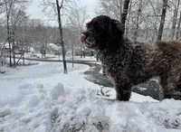 processed/58d2e4b3-e2a1-4ec4-b1e7-ae810338d2cb/facility/e5d7c4d7-3510-4ca7-98ab-3a34f9bd218a