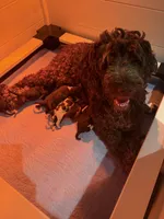 processed/58d2e4b3-e2a1-4ec4-b1e7-ae810338d2cb/facility/f5e1fe49-346c-4a4c-afb5-6a16055b17d7