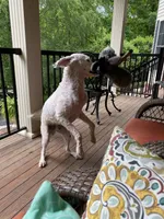 processed/58d2e4b3-e2a1-4ec4-b1e7-ae810338d2cb/facility/f9bc99db-bb4b-4580-a6f8-6b6e3bffbe92