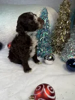 processed/58d2e4b3-e2a1-4ec4-b1e7-ae810338d2cb/listing/09edb717-ef70-4236-9049-f7099652b427/25c6f3fd-5e13-4904-92ff-abcef15245d3