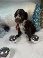 processed/58d2e4b3-e2a1-4ec4-b1e7-ae810338d2cb/listing/09edb717-ef70-4236-9049-f7099652b427/28273c02-631c-4f88-b19f-a35b70641b29