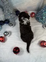 processed/58d2e4b3-e2a1-4ec4-b1e7-ae810338d2cb/listing/09edb717-ef70-4236-9049-f7099652b427/5607ce7c-47d5-418b-86da-a761d70a43a8