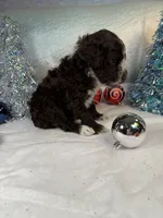 processed/58d2e4b3-e2a1-4ec4-b1e7-ae810338d2cb/listing/09edb717-ef70-4236-9049-f7099652b427/58fb9545-9b65-4cfa-89ff-d9a5ffcb2ecb