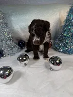 processed/58d2e4b3-e2a1-4ec4-b1e7-ae810338d2cb/listing/09edb717-ef70-4236-9049-f7099652b427/75492956-8360-4748-b546-702740c06a43