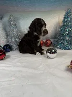 processed/58d2e4b3-e2a1-4ec4-b1e7-ae810338d2cb/listing/09edb717-ef70-4236-9049-f7099652b427/757a55b5-3320-4759-899b-dc5c295808cc