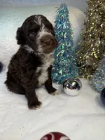 processed/58d2e4b3-e2a1-4ec4-b1e7-ae810338d2cb/listing/09edb717-ef70-4236-9049-f7099652b427/d21e7688-911a-443a-b98a-3f7546c0d71d