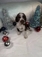 processed/58d2e4b3-e2a1-4ec4-b1e7-ae810338d2cb/listing/26bacb17-5a31-416c-9f98-9666231ad0ef/04106a79-fe61-4d9f-a74c-f2deb2fb87a2