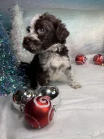 processed/58d2e4b3-e2a1-4ec4-b1e7-ae810338d2cb/listing/26bacb17-5a31-416c-9f98-9666231ad0ef/a8effb5d-f0d6-4be1-84e4-e3e08e8014d8