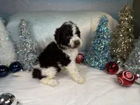 processed/58d2e4b3-e2a1-4ec4-b1e7-ae810338d2cb/listing/a2fd2df0-6dec-4796-b0d5-5f9067cedf41/184a2620-7516-4cd4-bed0-2a6bac16b46e