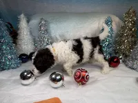 processed/58d2e4b3-e2a1-4ec4-b1e7-ae810338d2cb/listing/a2fd2df0-6dec-4796-b0d5-5f9067cedf41/1c178877-1aab-4221-b600-58d3b41ad2ab