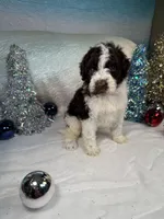 processed/58d2e4b3-e2a1-4ec4-b1e7-ae810338d2cb/listing/a2fd2df0-6dec-4796-b0d5-5f9067cedf41/3375a926-ea81-489b-aba1-03eb74d9210e