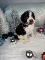 processed/58d2e4b3-e2a1-4ec4-b1e7-ae810338d2cb/listing/a2fd2df0-6dec-4796-b0d5-5f9067cedf41/6e472328-e110-42e3-b970-413ccb4db031