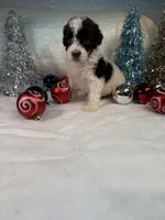 processed/58d2e4b3-e2a1-4ec4-b1e7-ae810338d2cb/listing/de6a1963-c0b0-4390-8601-82fcc3b09d38/2d0f2e87-73e5-4a82-85d8-760a12915adf