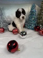 processed/58d2e4b3-e2a1-4ec4-b1e7-ae810338d2cb/listing/de6a1963-c0b0-4390-8601-82fcc3b09d38/452ccb6e-65b5-480f-a900-b71e33d9f59f